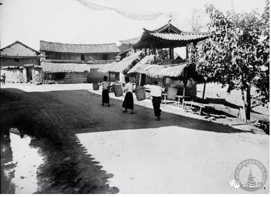 下载 (3).jpg