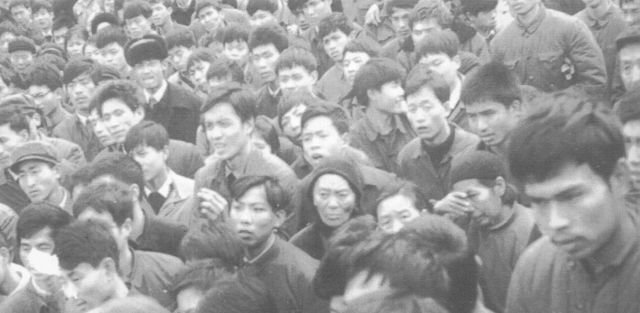 云南知青的情况让重庆家乡人民的极为关注.jpg