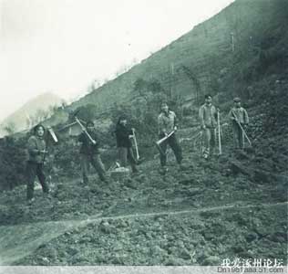 下乡知青劳动